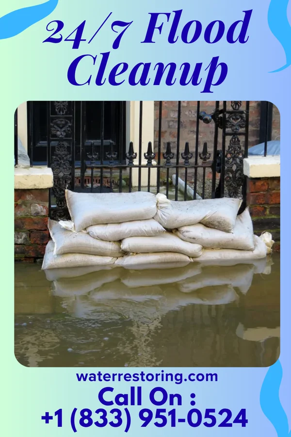 24/7 Flood Cleanup in Bonita, LA