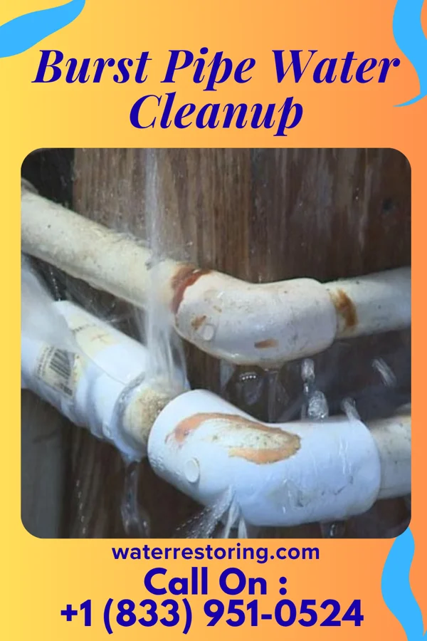 Burst Pipe Water Cleanup in Bonita, LA